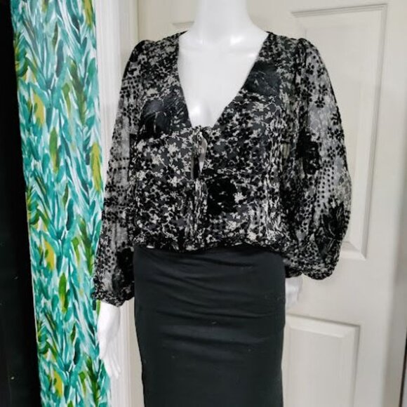 ASTR the label Velvet Burnout Shawna Abstract Velvet Cropped Sheer Floral Top S - Picture 4 of 12